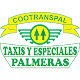 Taxis Palmeras - Cootranspal Download on Windows