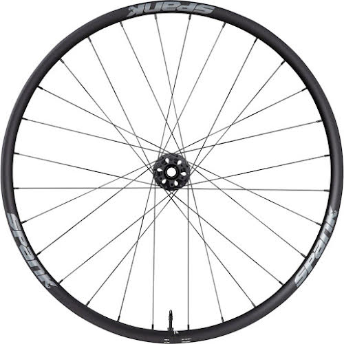 Spank Wing 22 Front Wheel - 29", 12/QR x 100mm, 6-Bolt