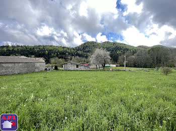 terrain à Belcaire (11)