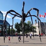  in Ottawa, Ontario, Canada
