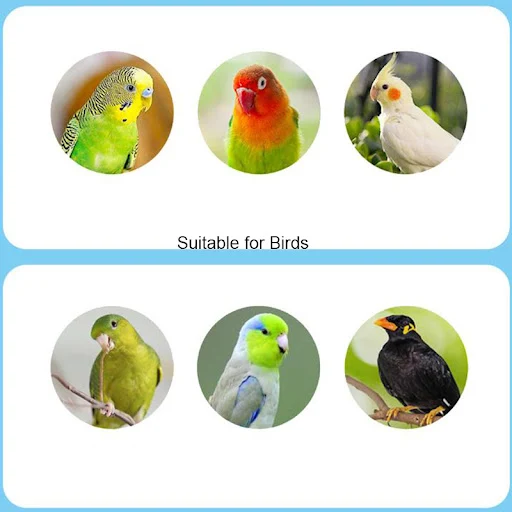 Spiky Natural Wood Pet Parrot Raw Wood Fork Tree Branch Stand Rack Squirrel Bird Hamster Branch Perches Chew Bite Toys S