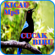 Kicau Cucak Biru Mp3  Icon