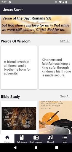 Screenshot Bible Study Daily