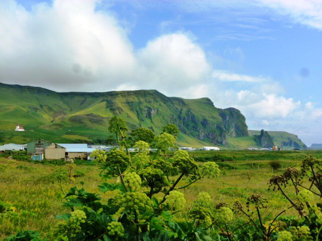 Costa Sur. De Kirkjubaejarklaustur a Skogar. - SORPRENDENTE ISLANDIA (11)