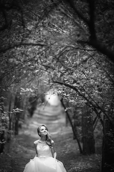 Fotógrafo de casamento Sergey Vasilev (filin). Foto de 23 de dezembro 2015