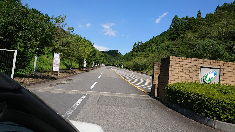 チョッパー18号さんが投稿した水餃子・コレクションホール・又々渋滞・栃木といえばに関するカスタム事例の投稿画像6枚目