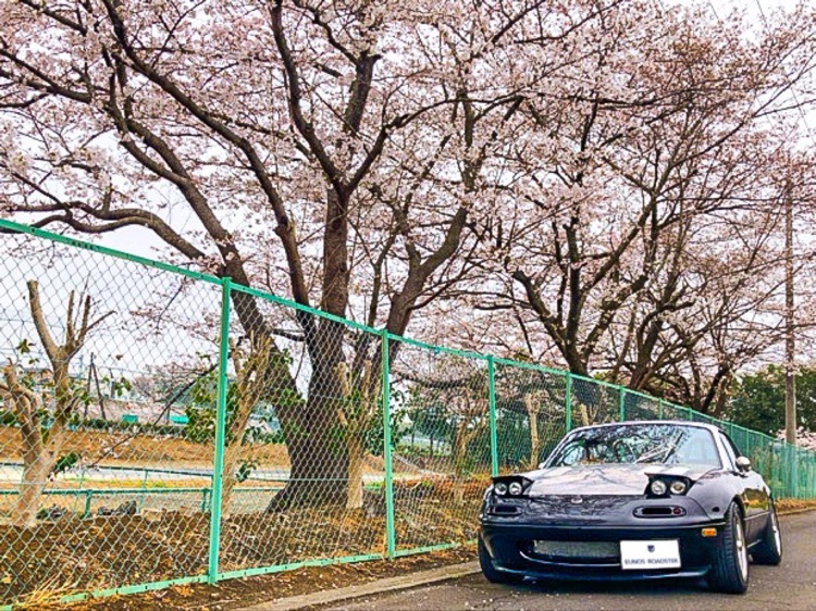 ロードスターのサクラと愛車・朝ラーに関するカスタム事例の投稿画像1枚目
