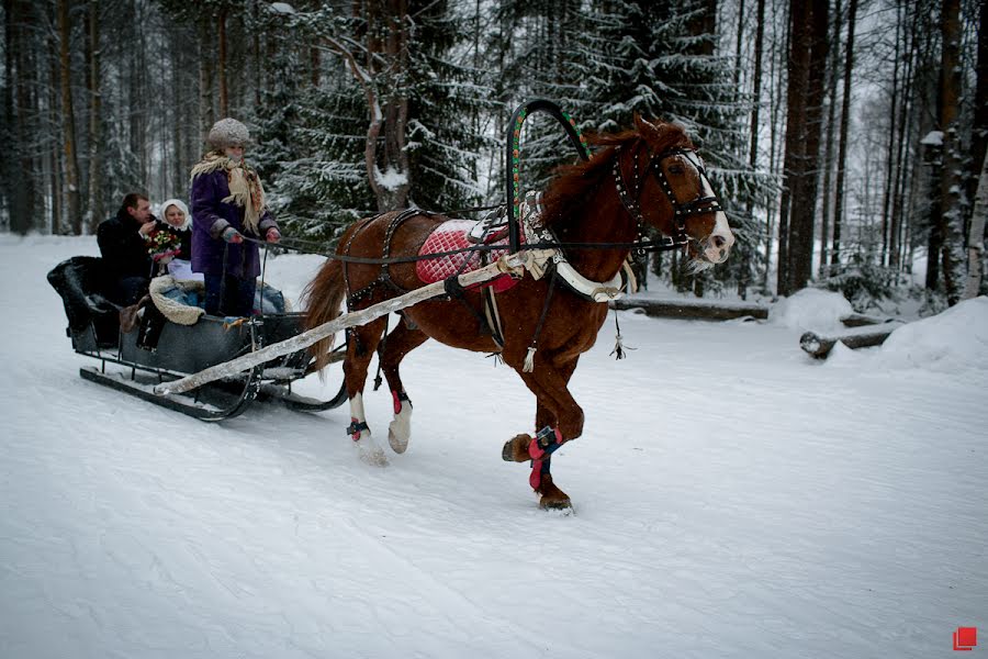 Hochzeitsfotograf Mikhail Denisov (mohax). Foto vom 28. Januar 2015