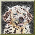 Thick Oil Impasto Style Portrait Avatar for Dog Danny (Collection No.1 of 12)