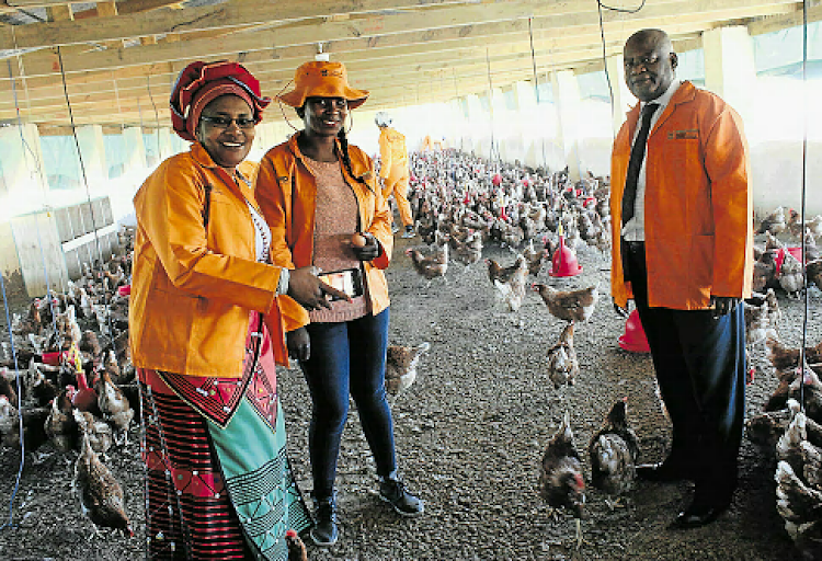 The Siyaphambili CWP Project which was officially launched in Ntshiqo village, outside Tsolo on Tuesday with, from left, Mhlontlo mayor Nompumelelo Dywili, Community Works Programme site manager in the Mhlontlo area, Phelokazi Tikana, and co-operative governance and traditional affairs MEC Fikile Xasa.