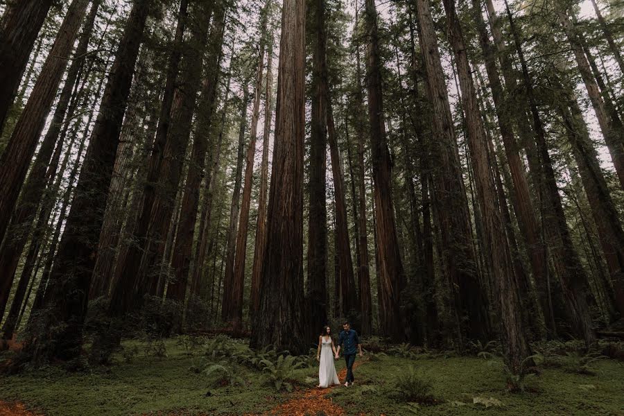 結婚式の写真家Barbara (barbaraophoto)。2019 12月30日の写真