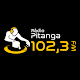 Download 102.3 Pitanga FM For PC Windows and Mac 1.0
