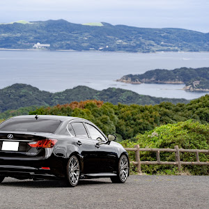 GS GWL10