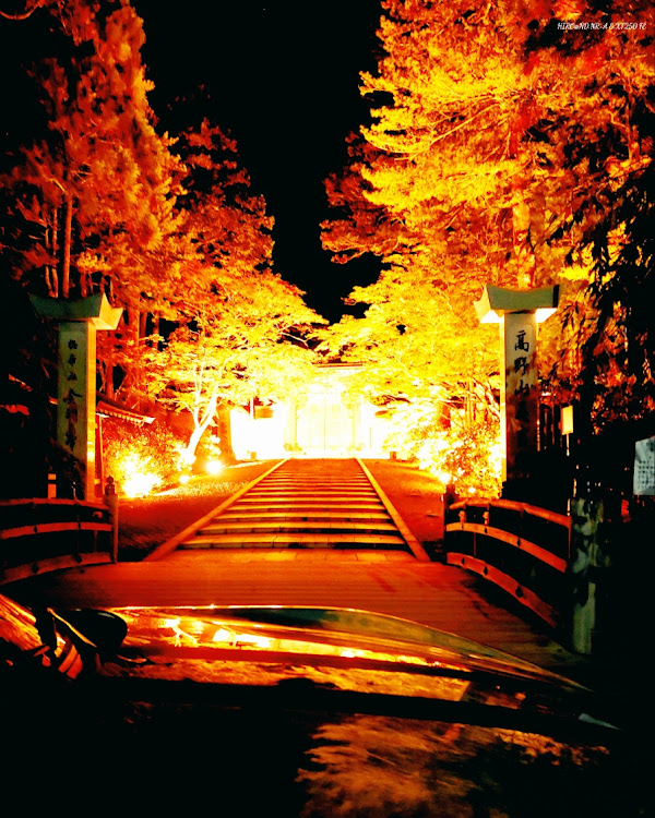 ロードスターのドライブ・夜ドライブ・高野山・ライトアップ・夜に撮影に関するカスタム事例の投稿画像6枚目