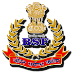 Cover Image of Baixar BSF PAY&GPF BSF APK