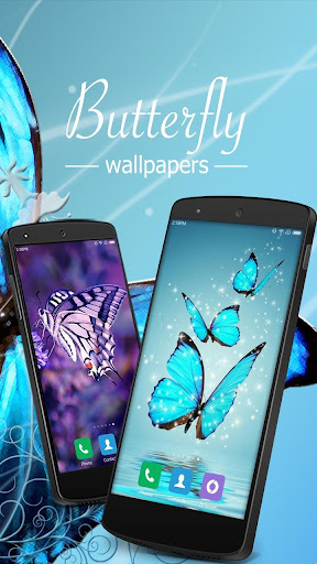 Butterfly wallpapers HD