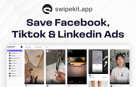 Facebook, Tiktok & Linkedin Ad downloader Preview image 7