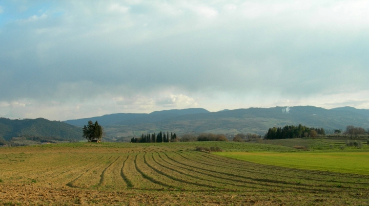 Solchi di lady oscar