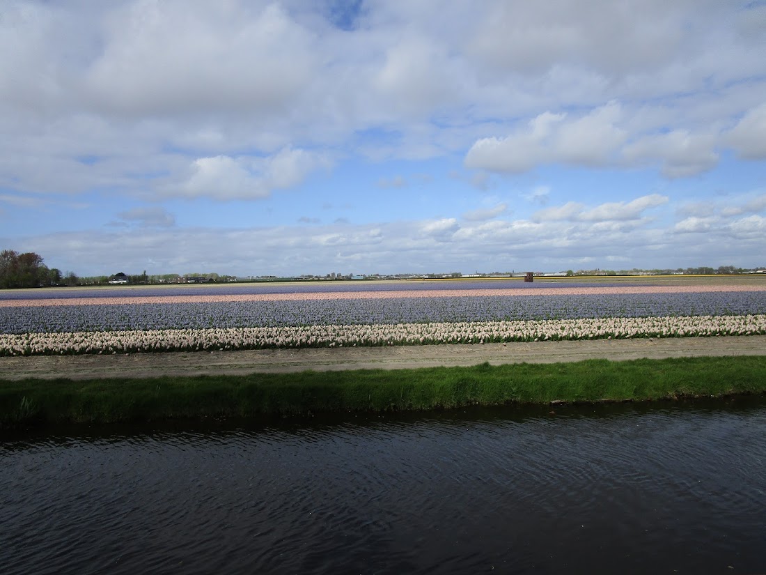 Парк Keukenhof, Ouddorp и Rotterdam "на закуску" - апрель 2017