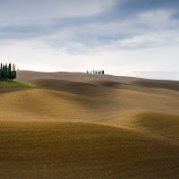 Sinuosità toscane di 