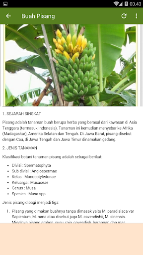 Budidaya Tanaman Buah