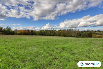 terrain à Glénay (79)