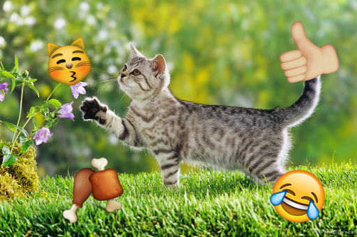 Emoji Photo Sticker Maker