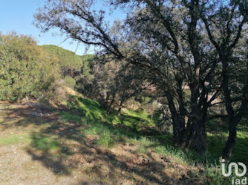 terrain à Sainte-Maxime (83)