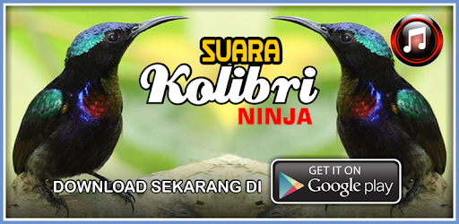 Suara Kolibri Ninja Aplicaciones En Google Play