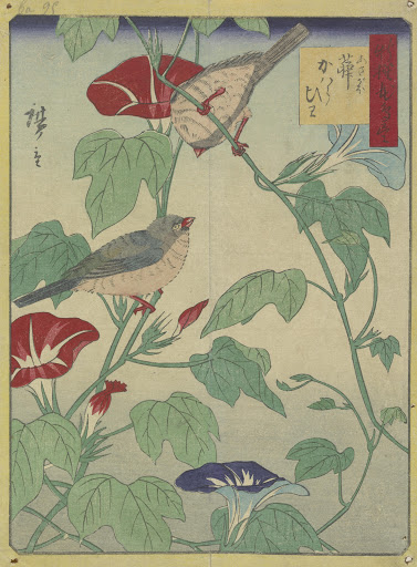 花鳥画