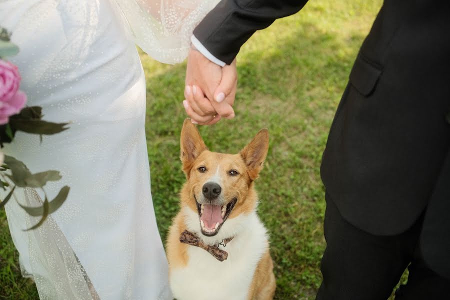 Wedding photographer Levente Szabó (leventeszabo). Photo of 30 June 2023