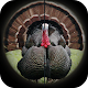 Turkey Hunting Calls Download on Windows