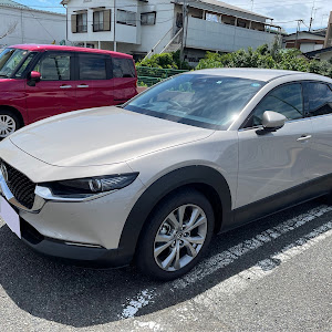 CX-30 DMEP