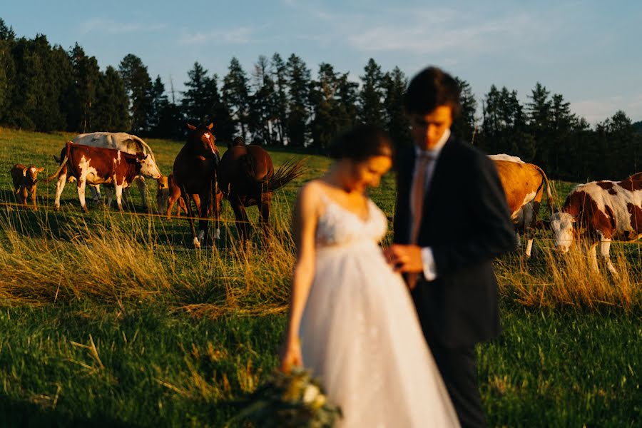 Fotografo di matrimoni Kryštof Novák (kryspin). Foto del 7 settembre 2021