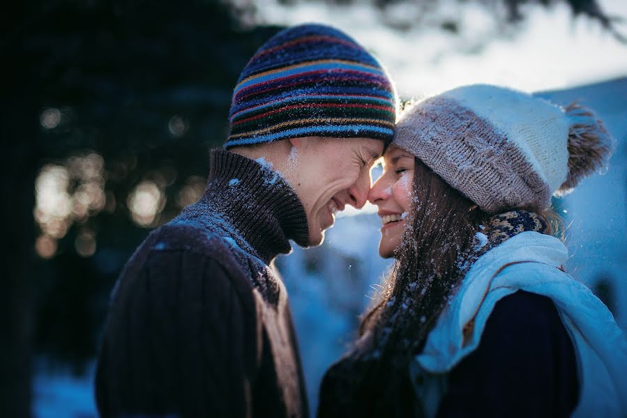 Photographe de mariage Artem Mishenin (mishenin). Photo du 7 janvier 2016