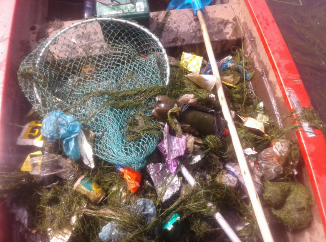 Some of the litter collected from the Westdene Dam in Johannesburg.