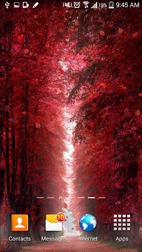 Red Leaves Live WallPaper