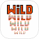 Video Poker Deuces Wild icon