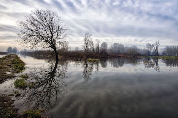 Palude Fucecchio di Alberto_Caselli