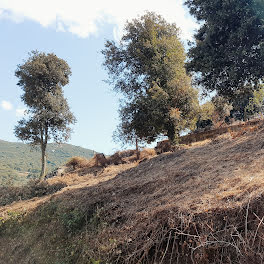 terrain à Sartene (2A)