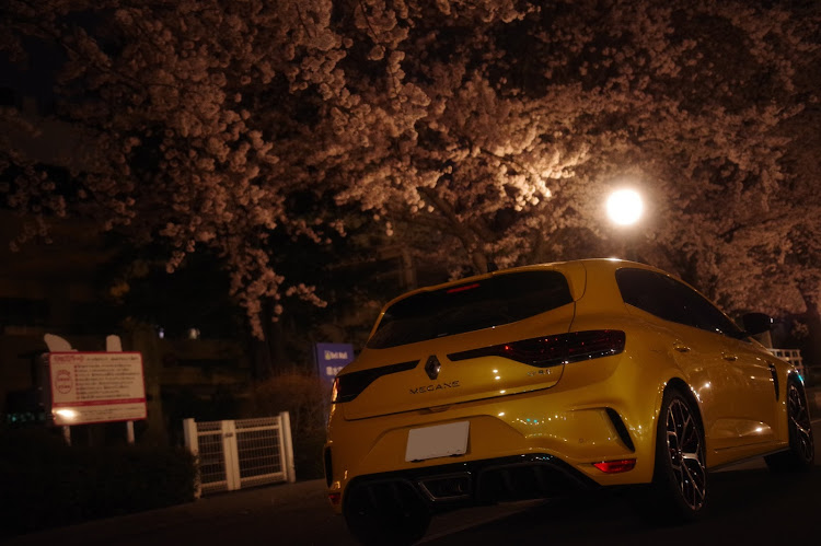 メガーヌ ハッチバックのドライブ・桜とコラボ・ならし運転中に関するカスタム事例の投稿画像1枚目