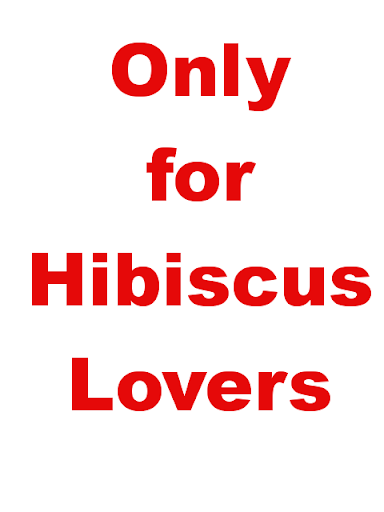 HibiscusBG