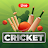 Cricket Score Liveline icon