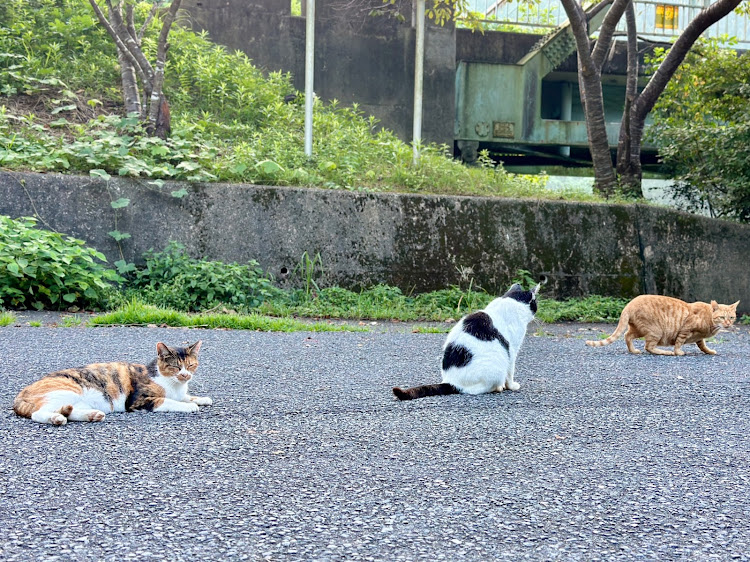 の投稿画像2枚目