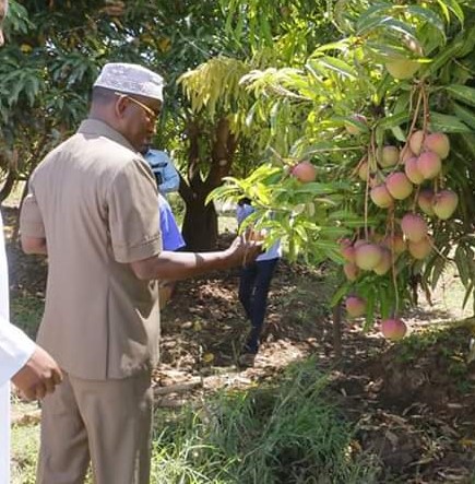 Garissa Governor Ali Korane in a farm in Sankuri ward, Balambala subcounty last week.