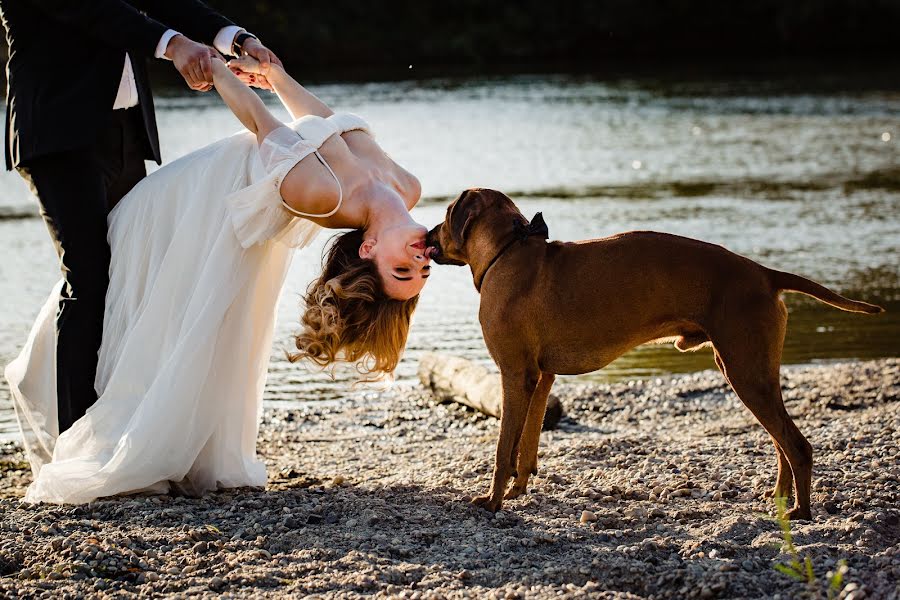 Fotografo di matrimoni Sabina Mladin (sabina). Foto del 20 dicembre 2018