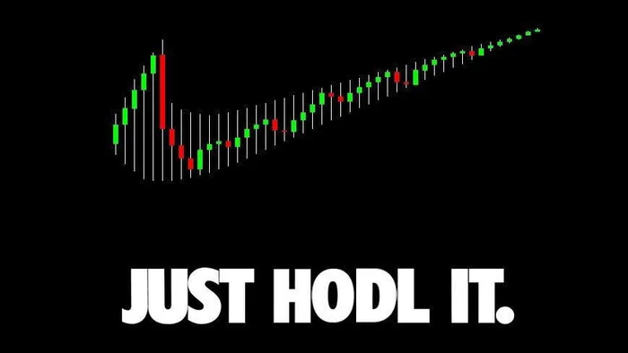 Crypto price chart that is Nike-based saying "just hodl it."