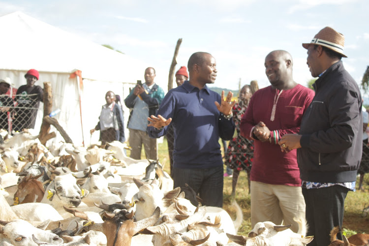 CS Mucheru, Senator Wambua and Ezekiel Mutua during the third annual goat auctioning in Kitui.