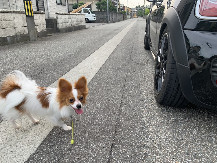 ミニジョンクーパーワークスの車高調・MINIに関するカスタム事例の投稿画像4枚目