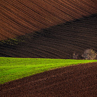 Terre mie di 